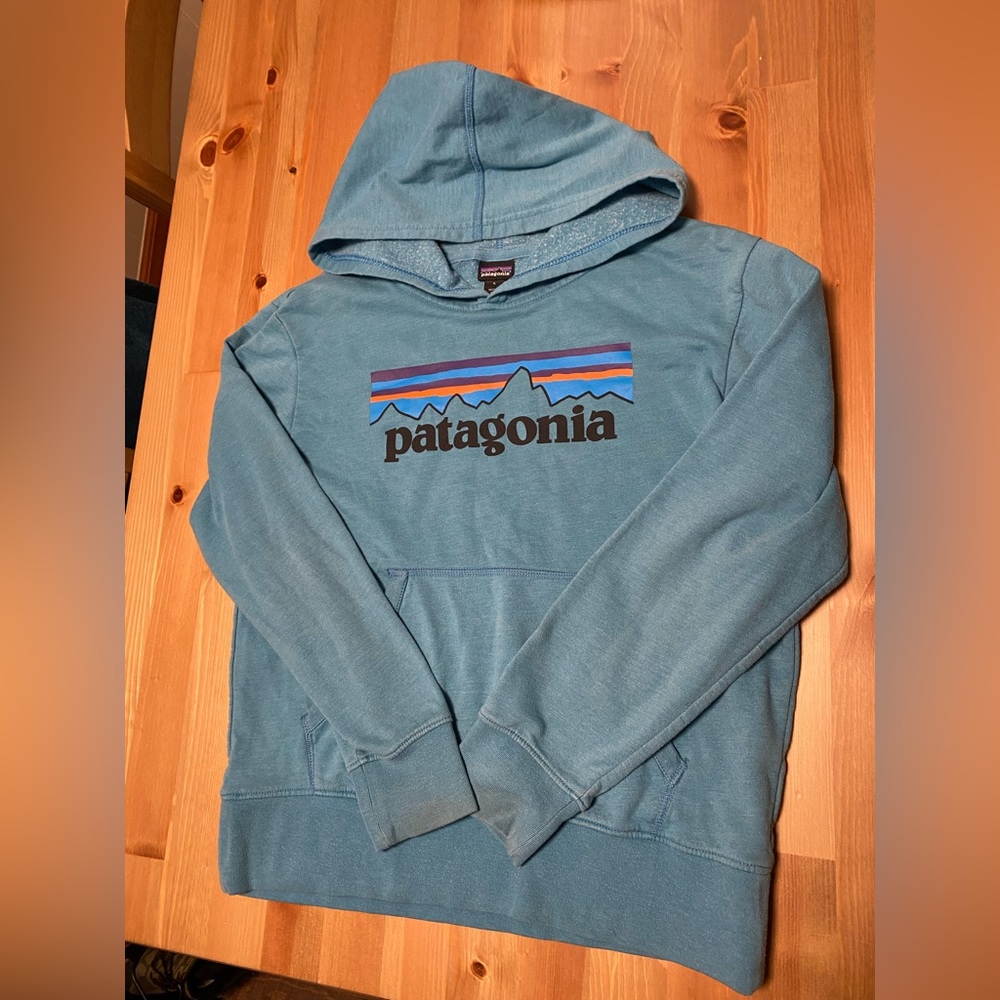 Patagonia Kids Sz Large 12/14